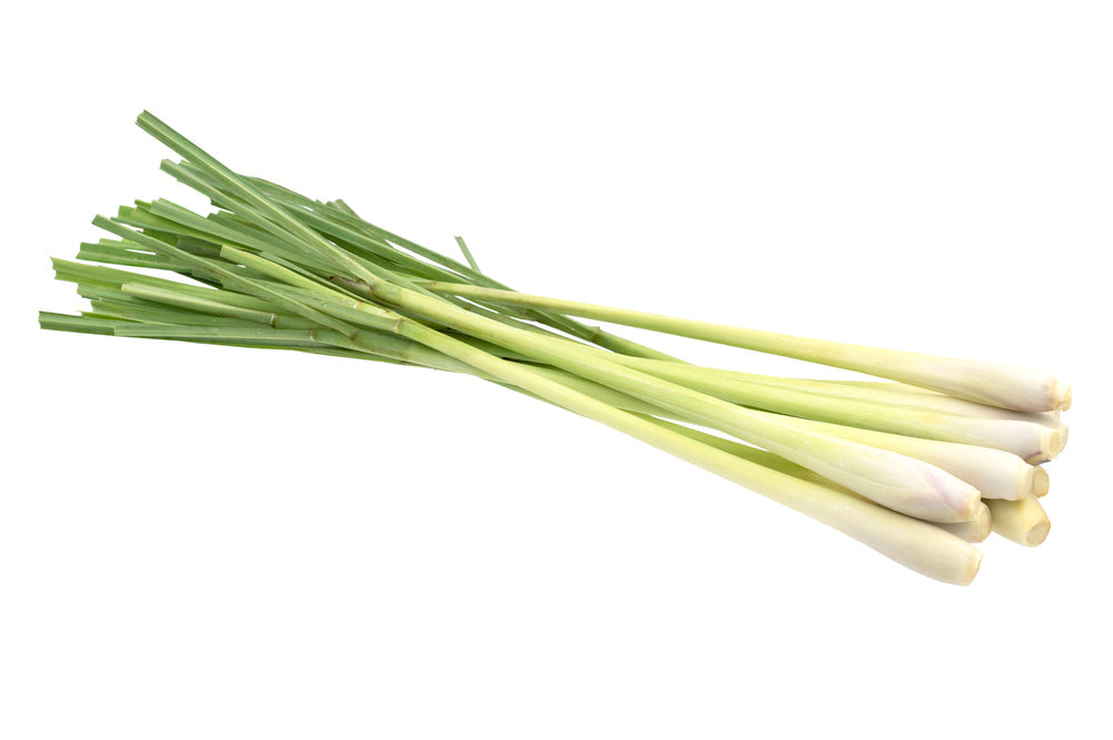 Lemongrass Bunch