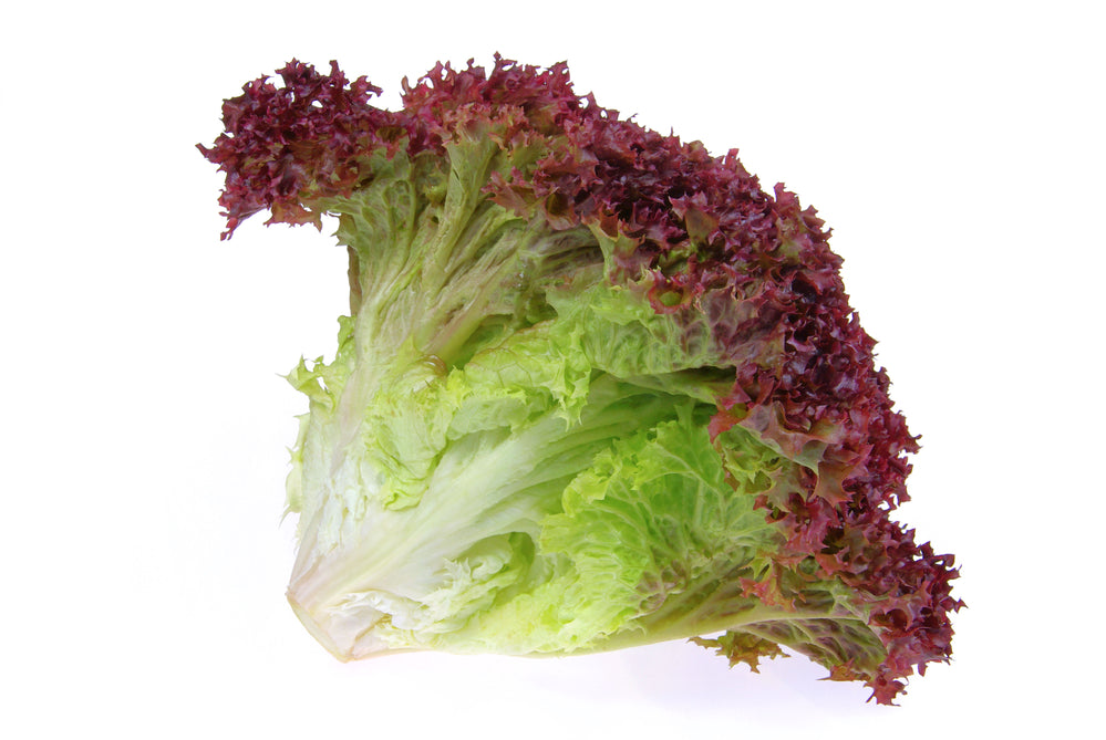 Lollo Rosso Lettuce (Loose-Leaf)