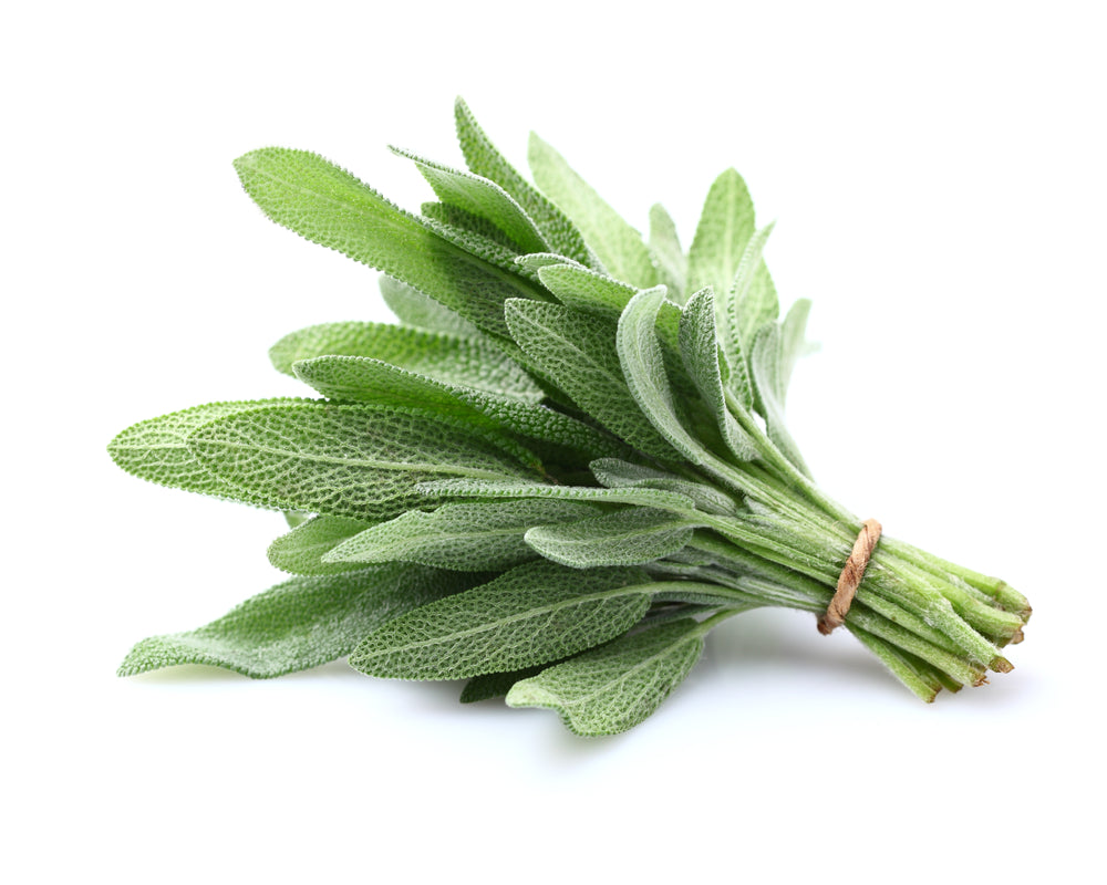 Sage (100g)