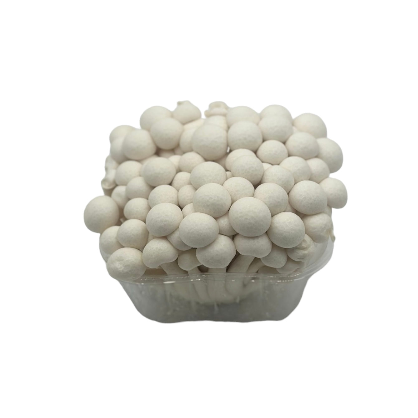 White Hon Shimeji (150g)